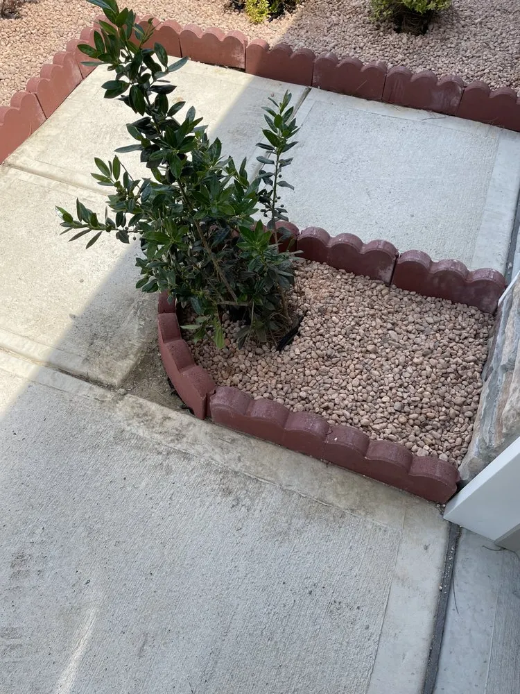 Top-rated residential landscaping with custom design in Kannapolis, NC by DMP Services