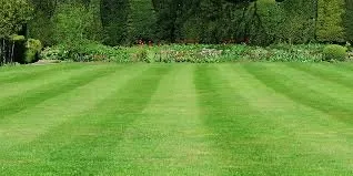 Top-rated landscape installation in Grand Rapids, MI by DMPS