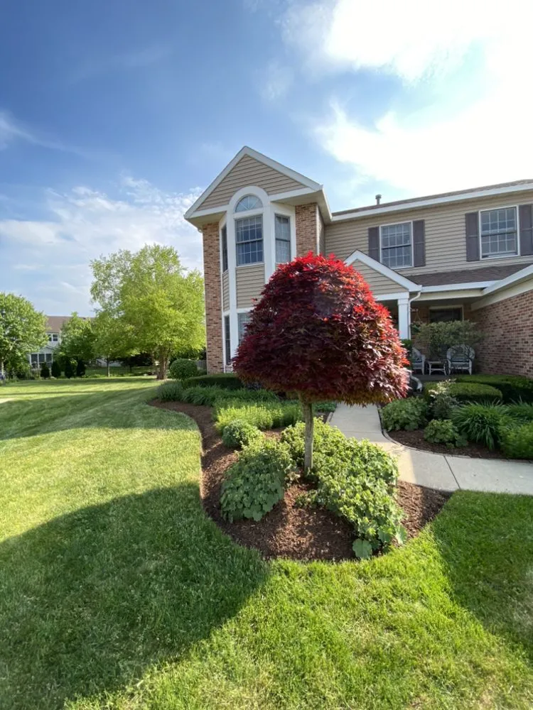 Trusted landscape installation for residential properties across Elgin, IL - DMR Landscaping