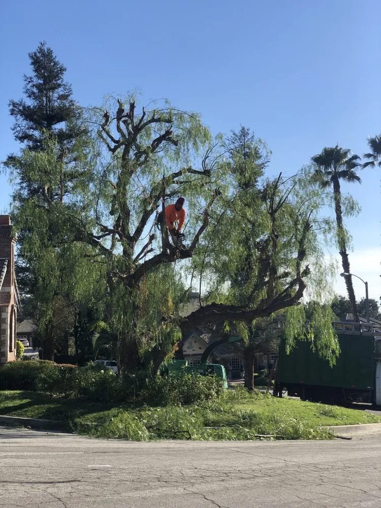 Professional residential landscaping experts serving Chino Hills, CA - DMR Tree Service