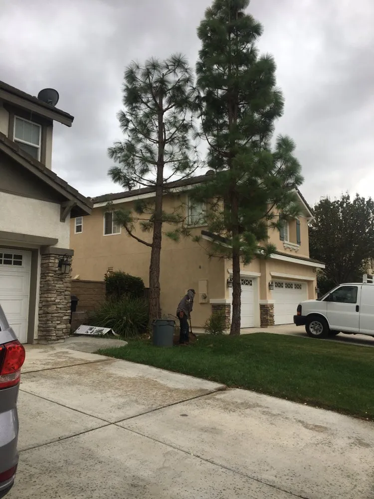 Custom residential landscaping experts serving Chino Hills, CA - DMR Tree Service