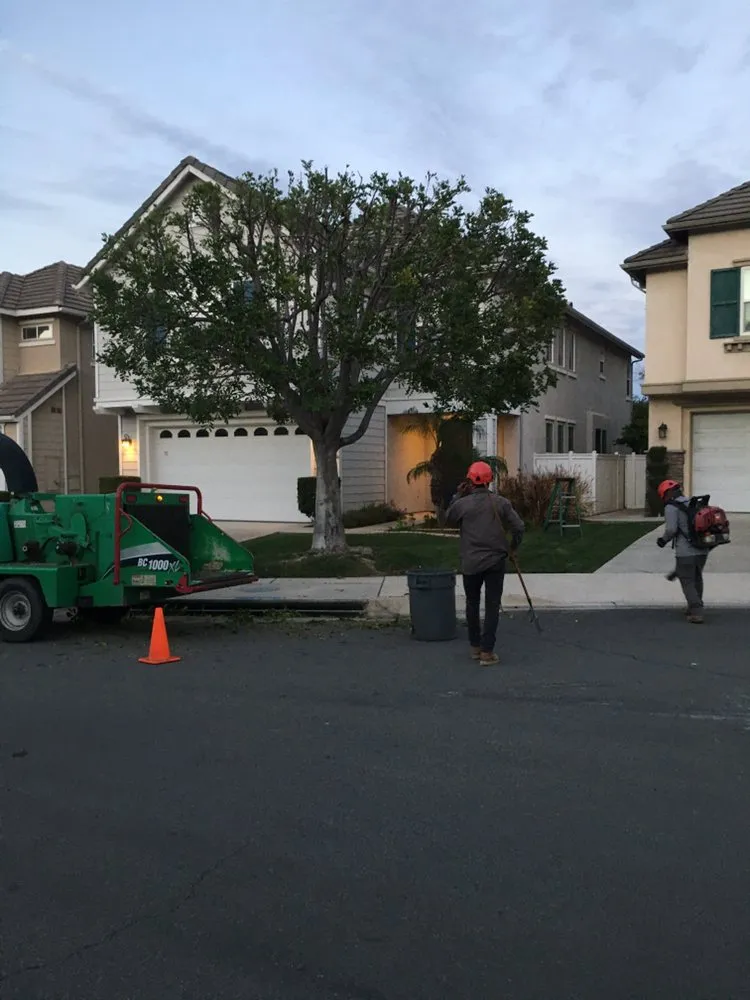 Reliable lawn care service for residential properties across Chino Hills, CA - DMR Tree Service