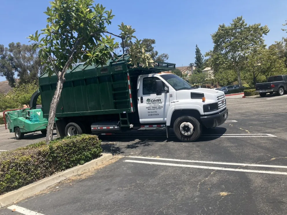 Reliable residential landscaping in Chino Hills, CA - DMR Tree Service