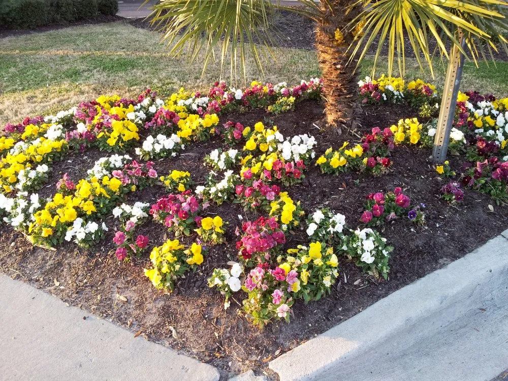 Expert residential landscaping in Goose Creek, SC by DM's Landscape and Lawn Care Maintenance