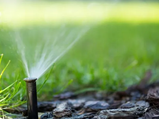 DM's Landscape and Lawn Care Maintenance