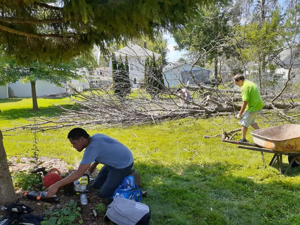 Expert landscaping services for outdoor upgrades in Green Bay, WI by DMS Lawn & Tree Service