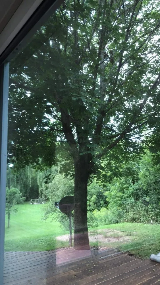 Local outdoor landscaping in Green Bay, WI - DMS Lawn & Tree Service