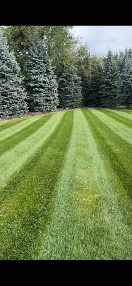Expert lawn care service experts serving Armada, MI - DMS Lawn Care and Landscaping