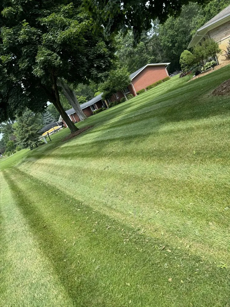Affordable yard cleanup service experts serving Armada, MI - DMS Lawn Care and Landscaping