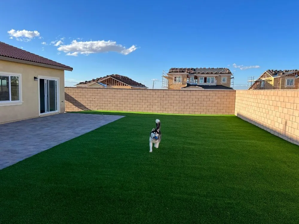 Affordable landscape design in San Fernando Valley, CA - DMT Remodeling