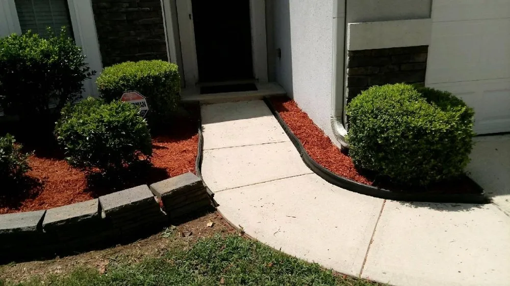 Professional landscape installation in Metairie, LA - DMT Southern Light