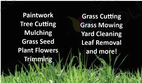 Trusted yard maintenance in Columbia, MD - DMV Landscape