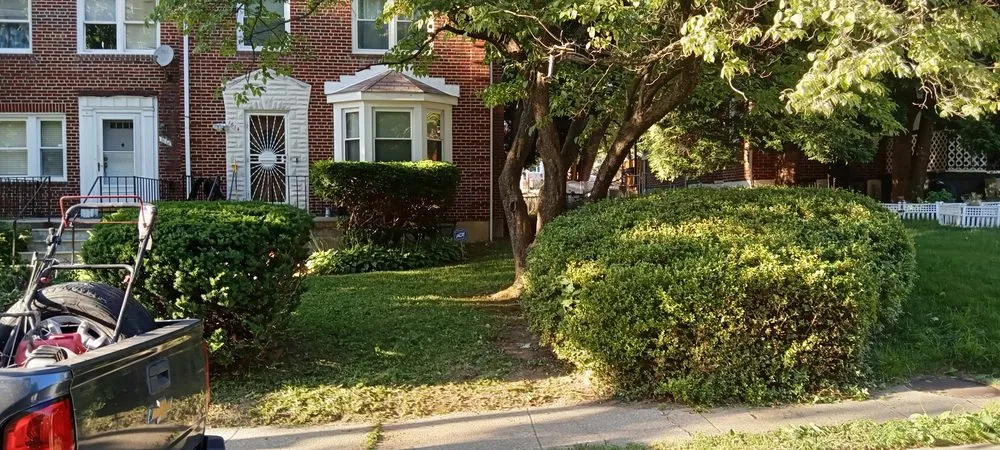 Affordable outdoor landscaping for year-round maintenance across Milford Mill, MD - DMV Landscaping