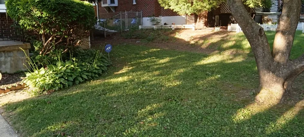 Affordable landscape installation for residential properties across Milford Mill, MD - DMV Landscaping