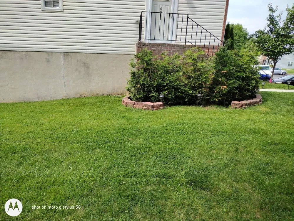 Expert residential landscaping for beautiful yards across Milford Mill, MD - DMV Landscaping