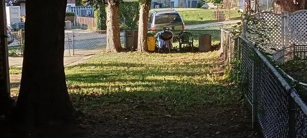 DMV Landscaping
