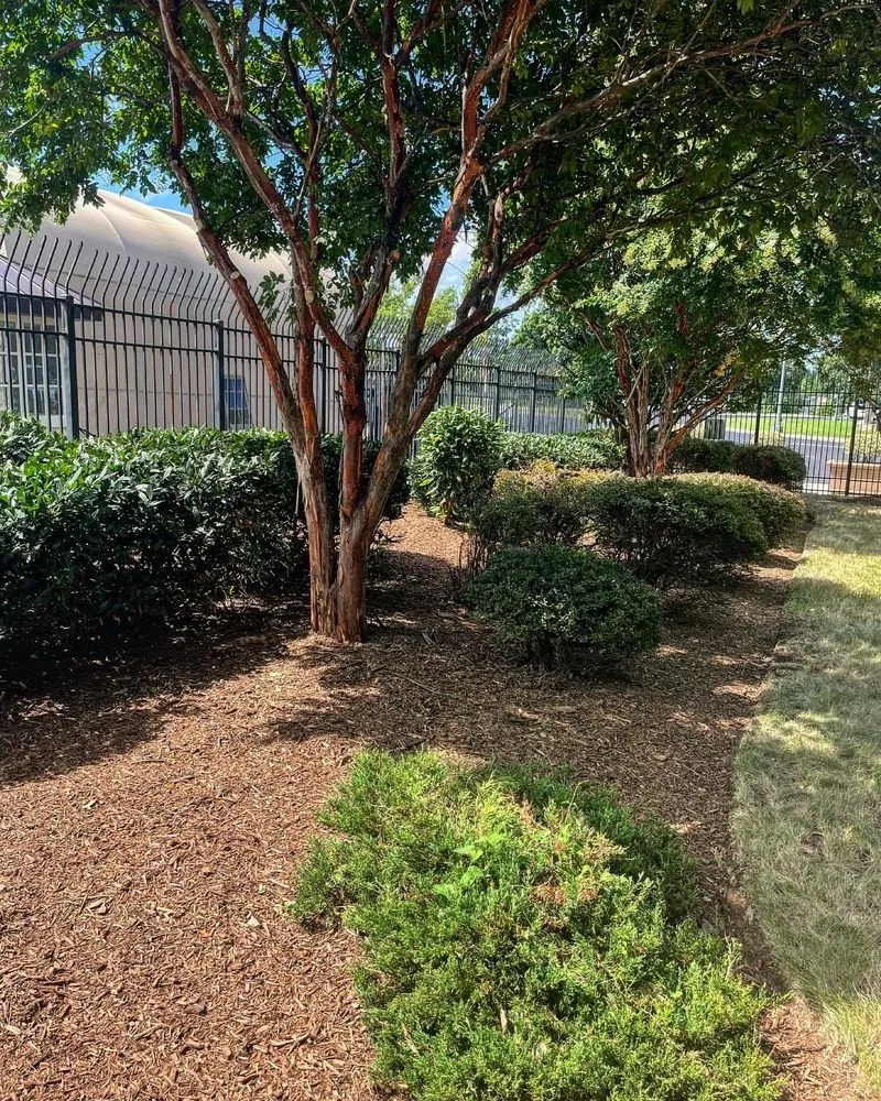 Reliable landscape installation in Manassas, VA by DMV Prolific Landscaping