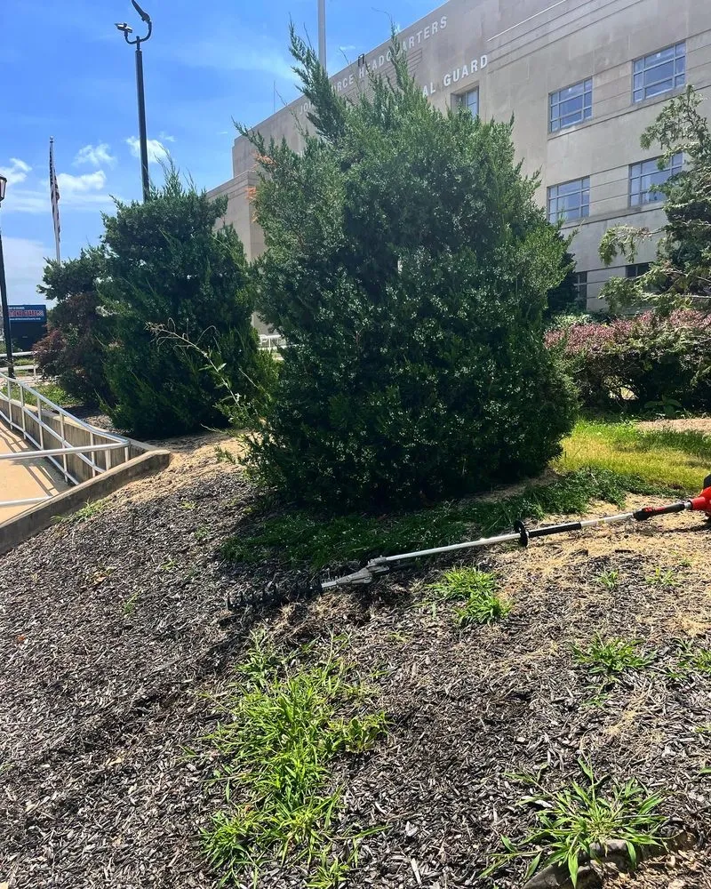 Custom landscape installation in Manassas, VA - DMV Prolific Landscaping