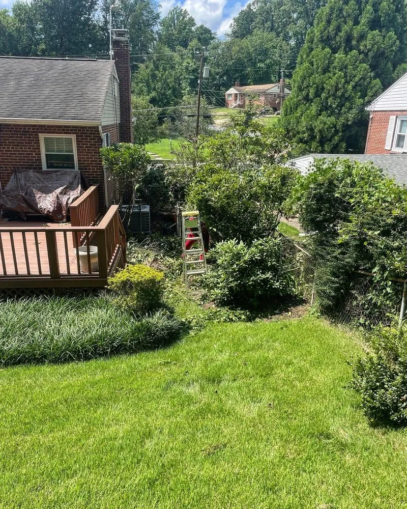 Custom landscape installation in Manassas, VA by DMV Prolific Landscaping