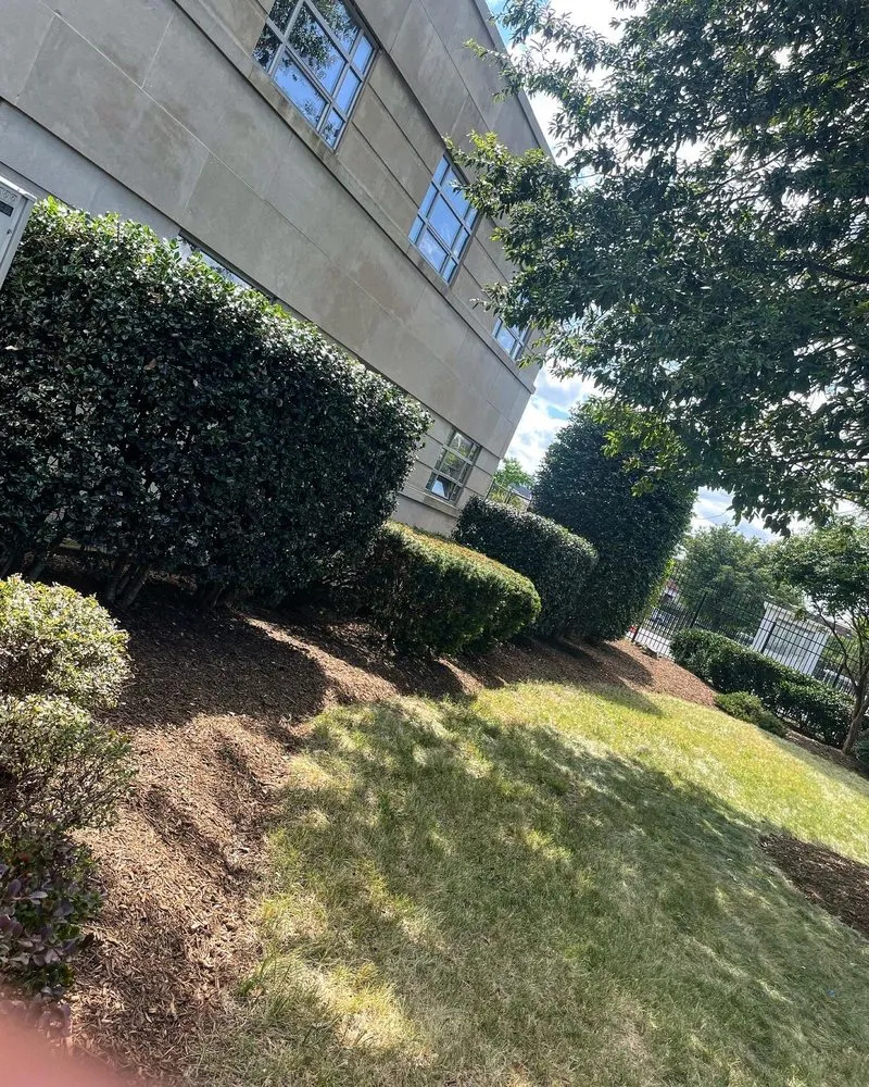 Professional lawn mowing service for beautiful yards across Manassas, VA - DMV Prolific Landscaping