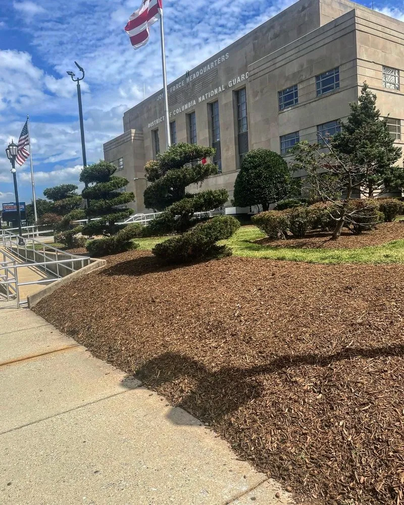 Expert residential landscaping in Manassas, VA by DMV Prolific Landscaping