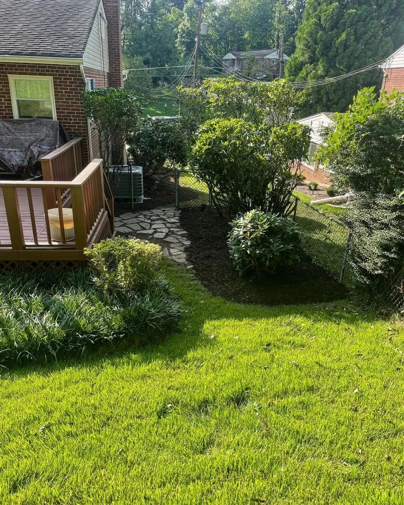 Expert landscaping services in Manassas, VA by DMV Prolific Landscaping