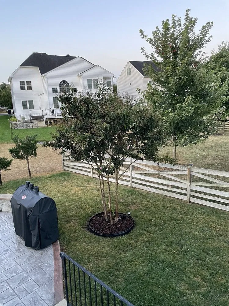 Custom lawn mowing service for beautiful yards across Manassas, VA - DMV Prolific Landscaping