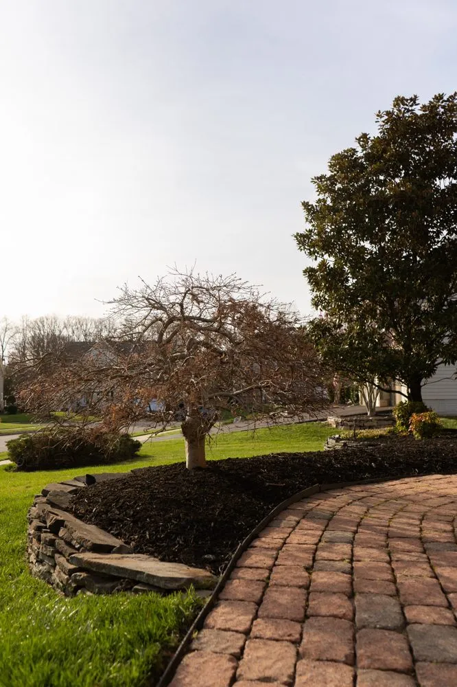 Affordable lawn mowing service for beautiful yards across Manassas, VA - DMV Prolific Landscaping