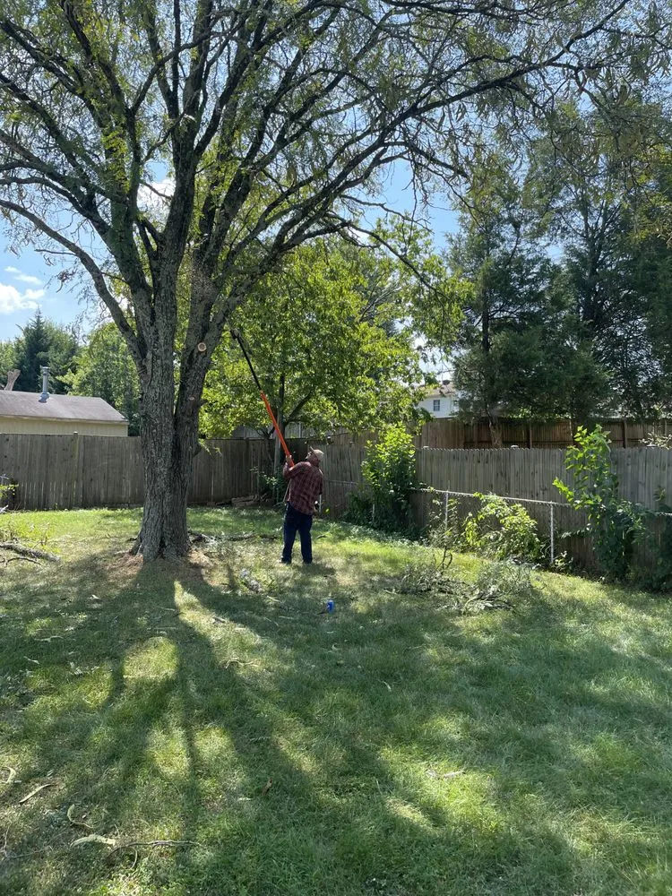 Affordable lawn care service experts serving Manassas, VA - DMV Prolific Landscaping