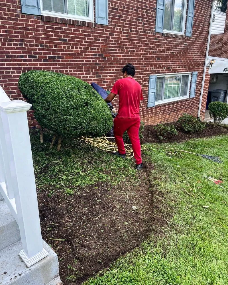 Reliable yard cleanup service in Manassas, VA - DMV Prolific Landscaping