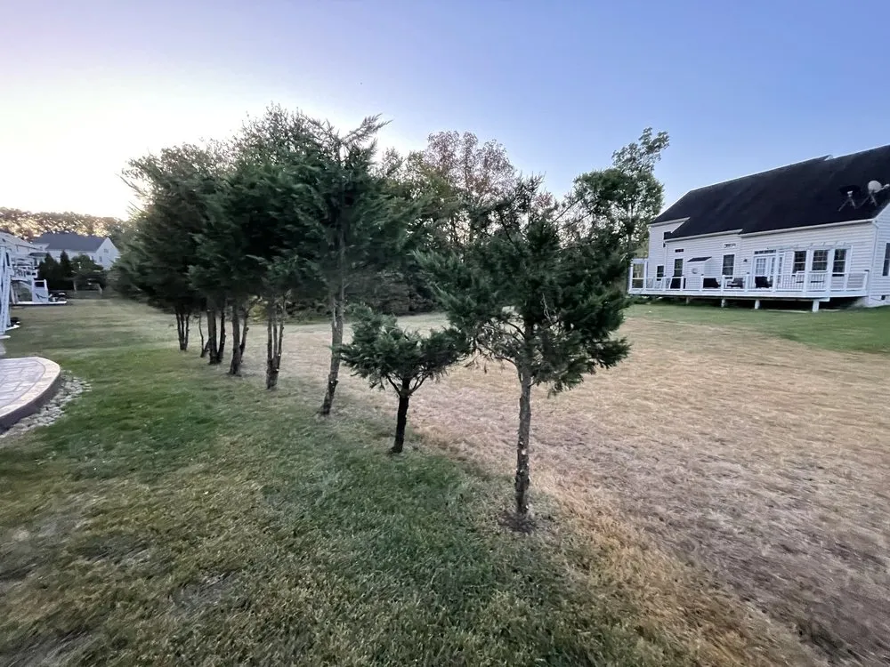 Local garden landscaping for outdoor upgrades in Manassas, VA by DMV Prolific Landscaping