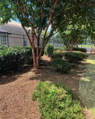 DMV Prolific Landscaping Logo