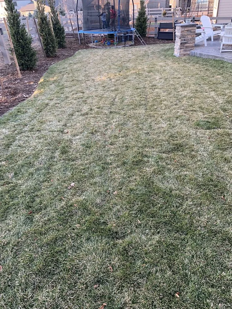 Trusted yard maintenance for residential properties across Littleton, CO - DMX Landscape