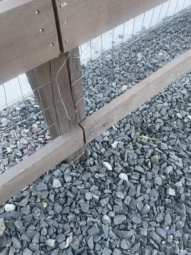 Top-rated lawn care service in Littleton, CO by DMX Landscape