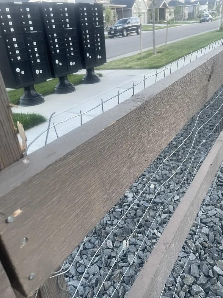 Top-rated lawn care service in Littleton, CO by DMX Landscape