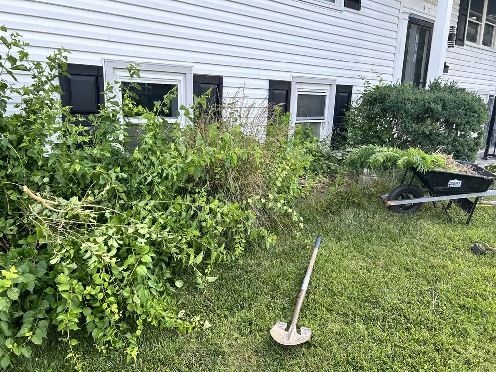 Custom yard maintenance for year-round maintenance in Edgewood, MD by DN Hills Lawn Services