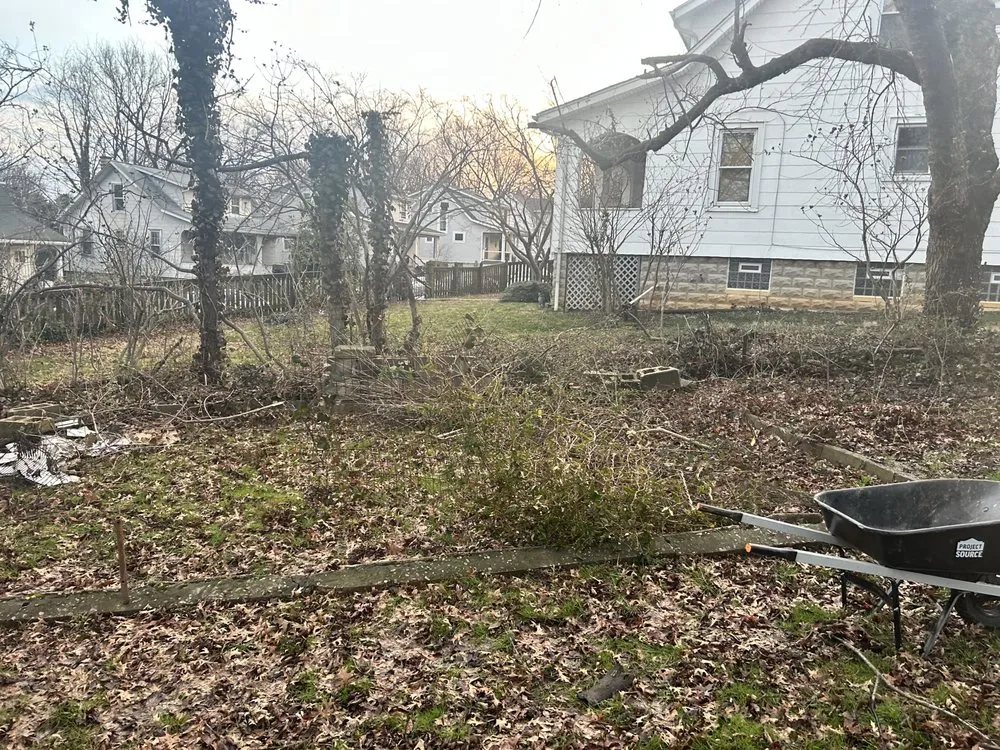 Top-rated lawn care service for year-round maintenance in Edgewood, MD by DN Hills Lawn Services