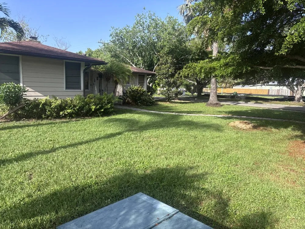 Local landscaping services experts serving Sarasota, FL - D&N Home Services