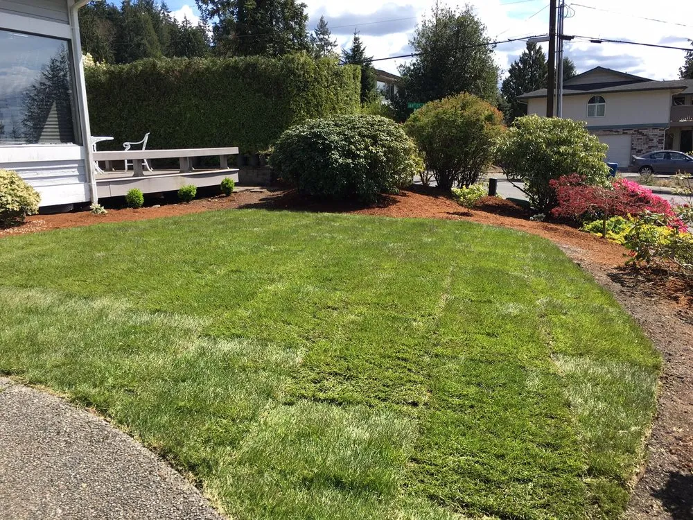 Affordable landscape installation for beautiful yards across Lynnwood, WA - DN Landscaping & Gardening Service