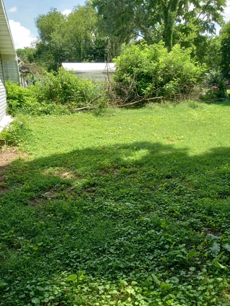 Local landscape design in Cassopolis, MI by D&N Landscaping And Lawncare