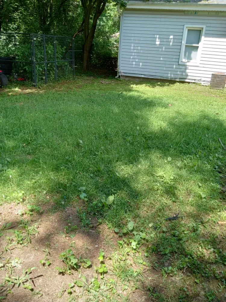 Affordable yard cleanup service experts serving Cassopolis, MI - D&N Landscaping And Lawncare