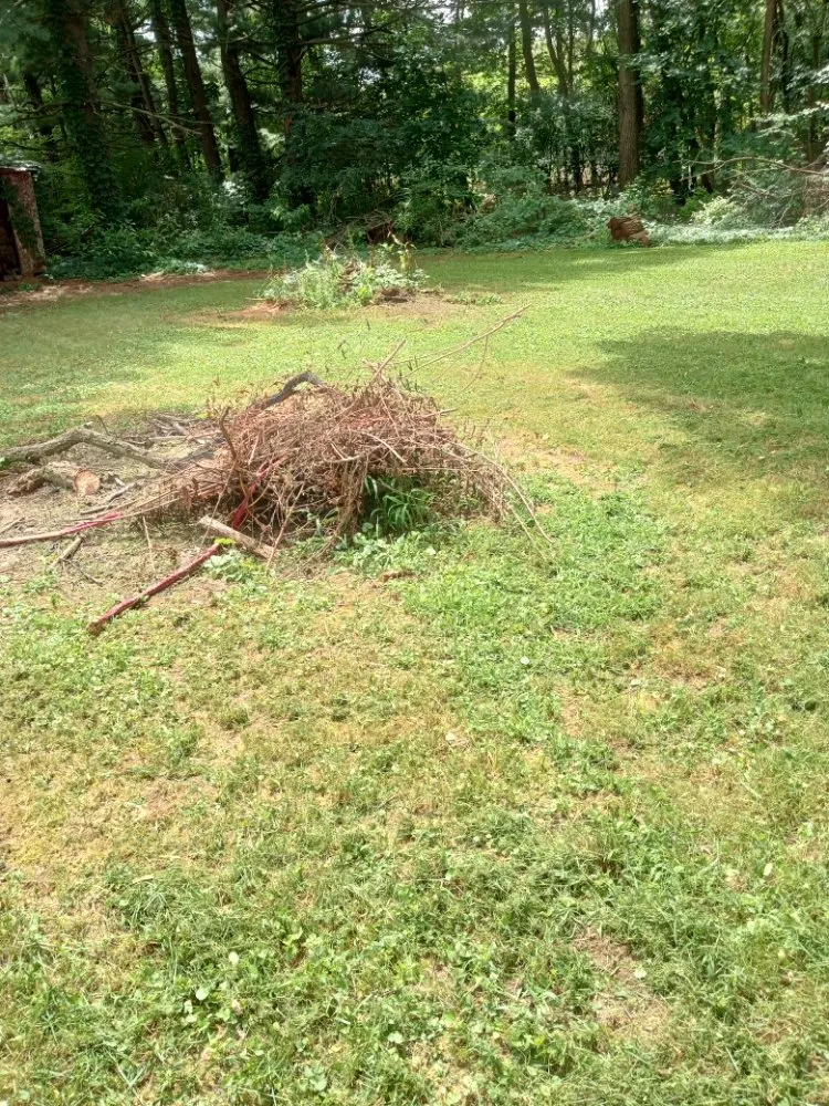 Professional yard cleanup service with custom design in Cassopolis, MI by D&N Landscaping And Lawncare