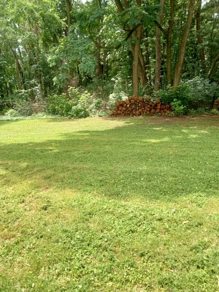 Professional landscape design in Cassopolis, MI - D&N Landscaping And Lawncare