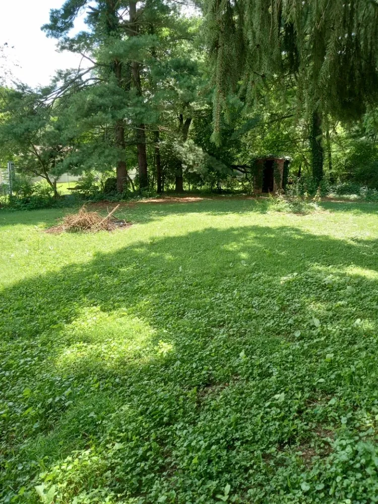 Custom lawn mowing service for homes in Cassopolis, MI by D&N Landscaping And Lawncare