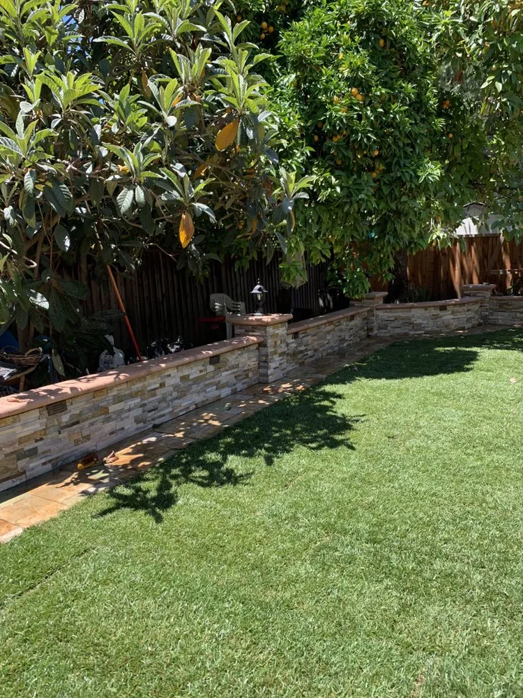 Top-rated yard cleanup service with custom design across Milpitas, CA - D&N Landscaping