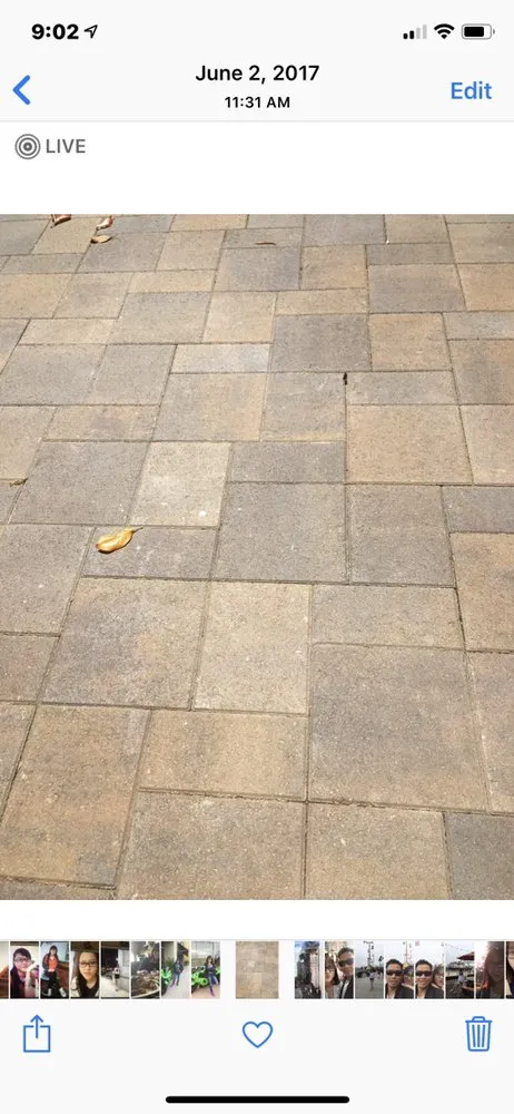 Professional residential landscaping experts serving Milpitas, CA - D&N Landscaping