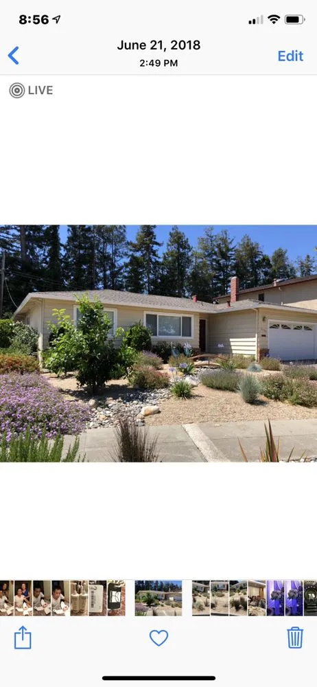 Reliable outdoor landscaping in Milpitas, CA - D&N Landscaping