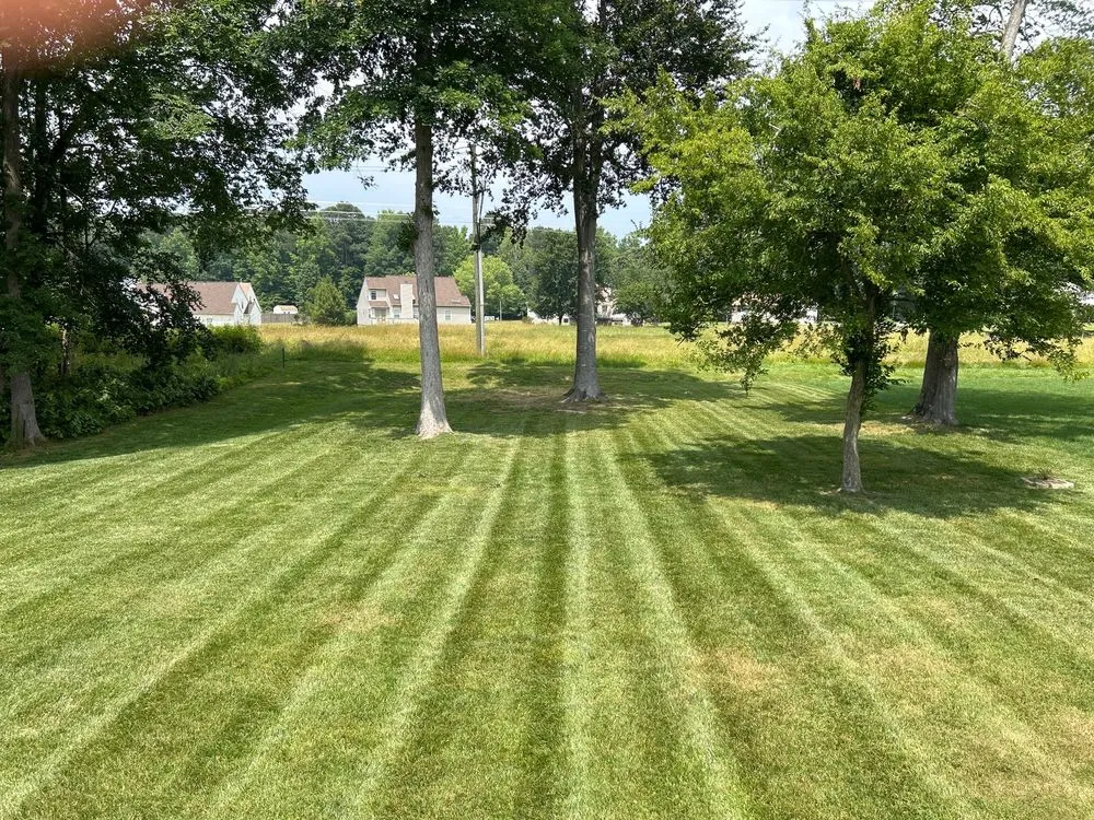 Affordable landscape installation in West Point, VA - D&N Landscaping