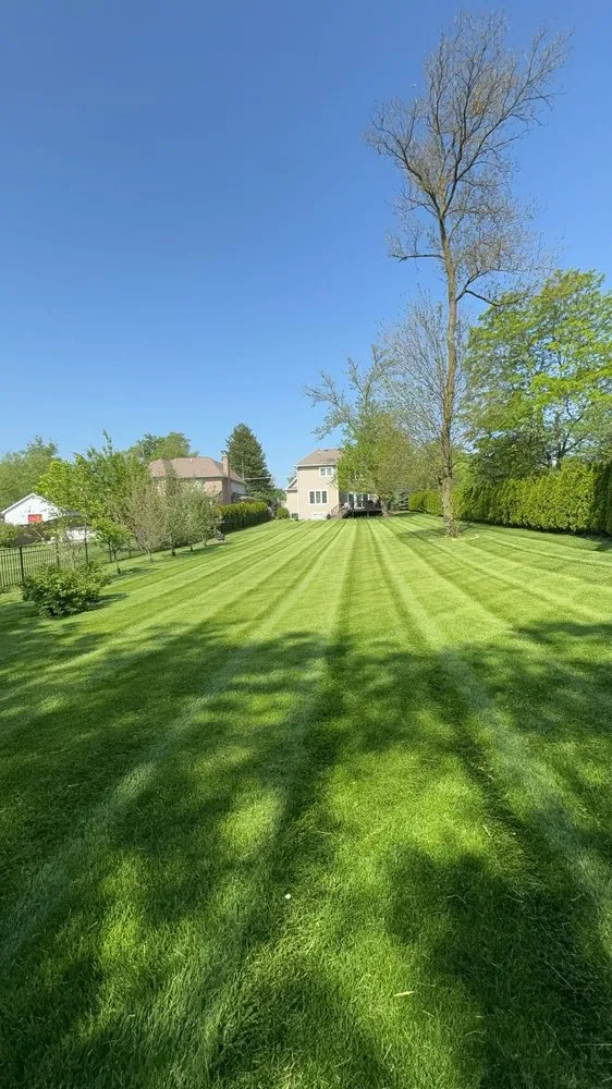 Reliable lawn care service in Woodridge, IL - D&N Lawncare
