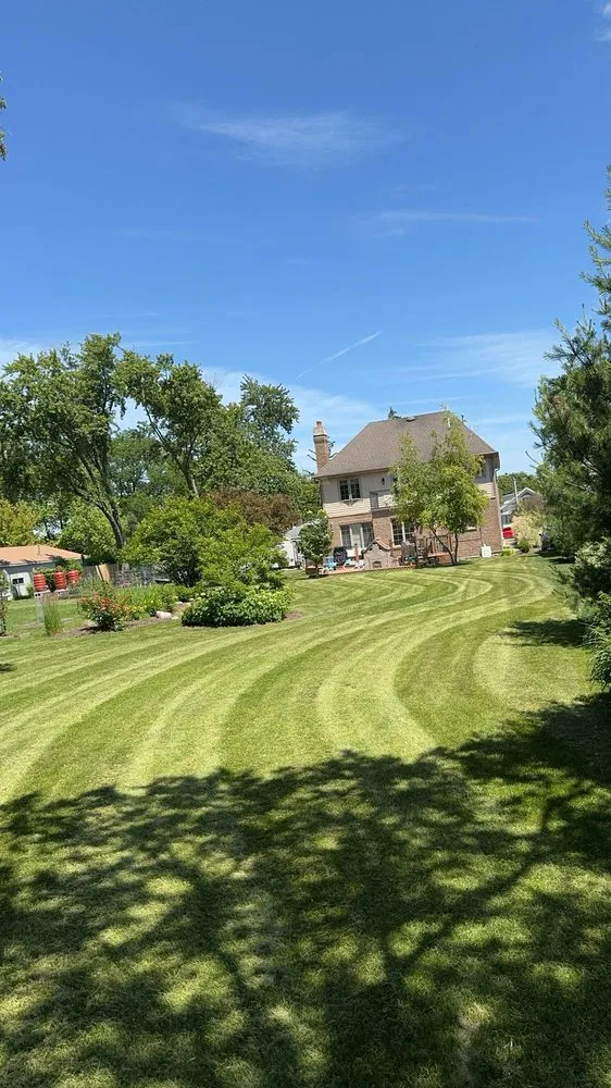 Top-rated yard cleanup service in Woodridge, IL by D&N Lawncare